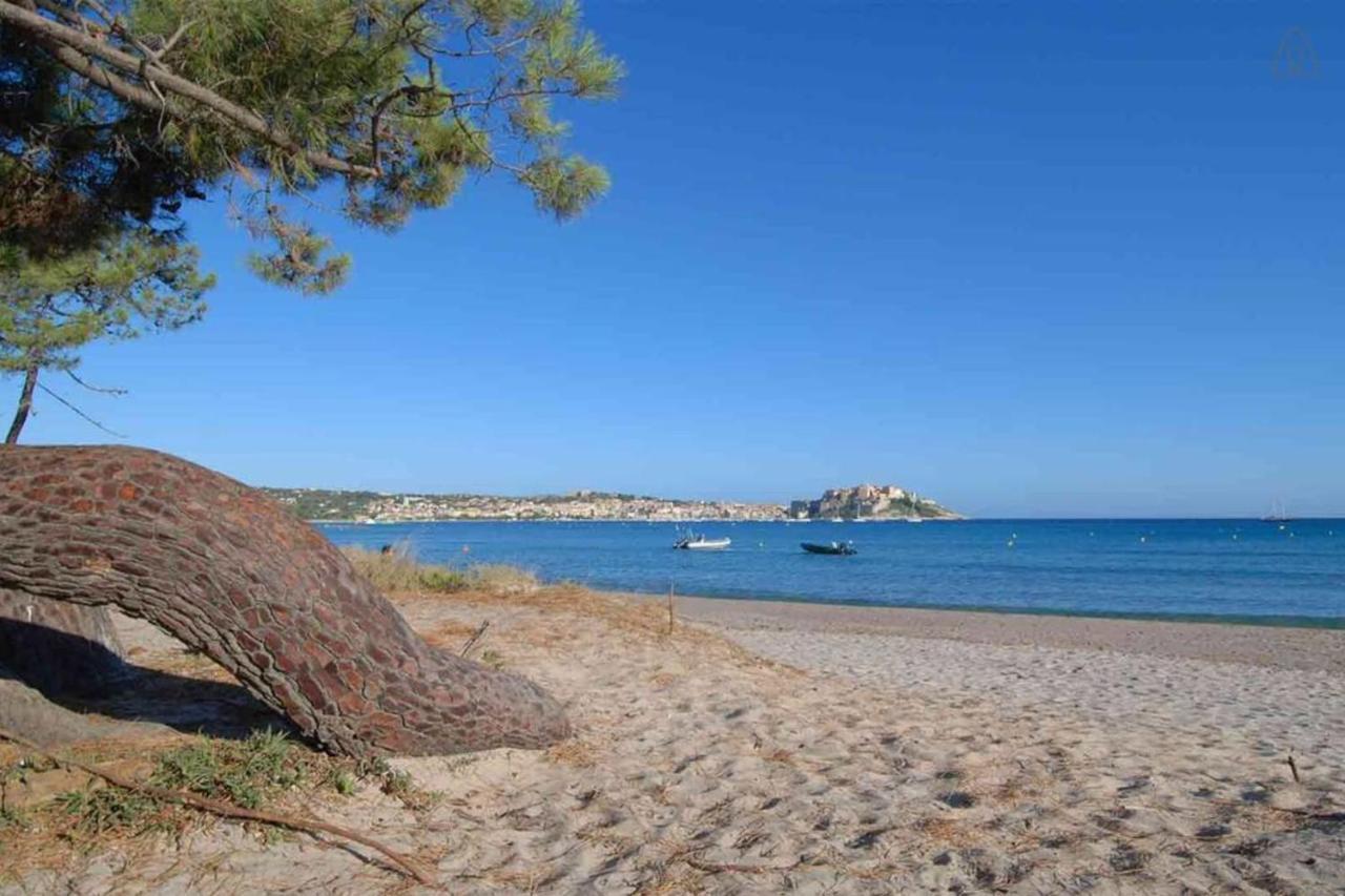 L'orangeraie Calvi centre à 300m de la plage et du port parking privé Exterior foto